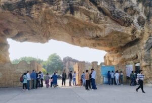 सफारी में लगी भीड़ 